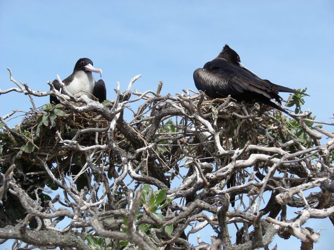 24887768826_a8b75ab2b1_b_2016-02-09