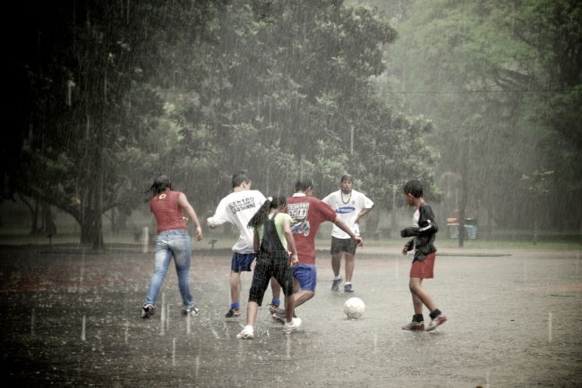 Parque do Ibirapuera