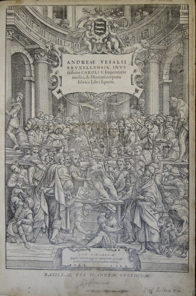 10818474975_b1be42d176_b_2016-05-26