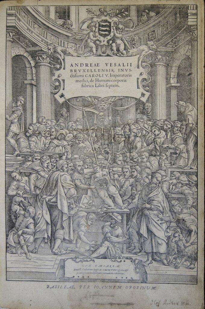 10818474975_b1be42d176_b_2016-05-26